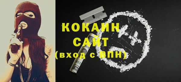 тгк Алзамай