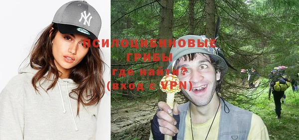 тгк Алзамай