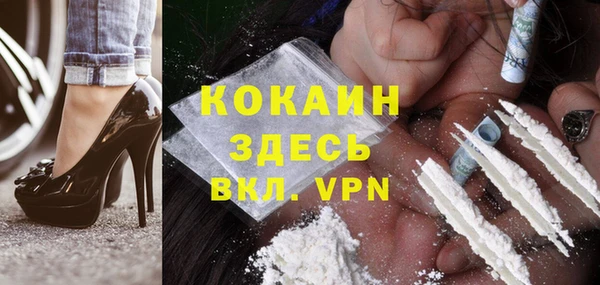 тгк Алзамай
