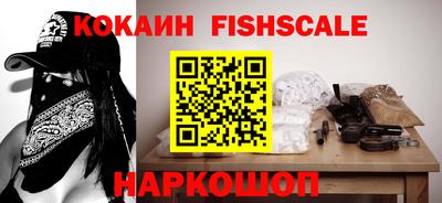 соль ск Партизанск