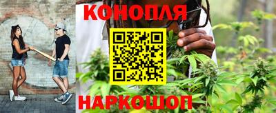 мдпв Кохма