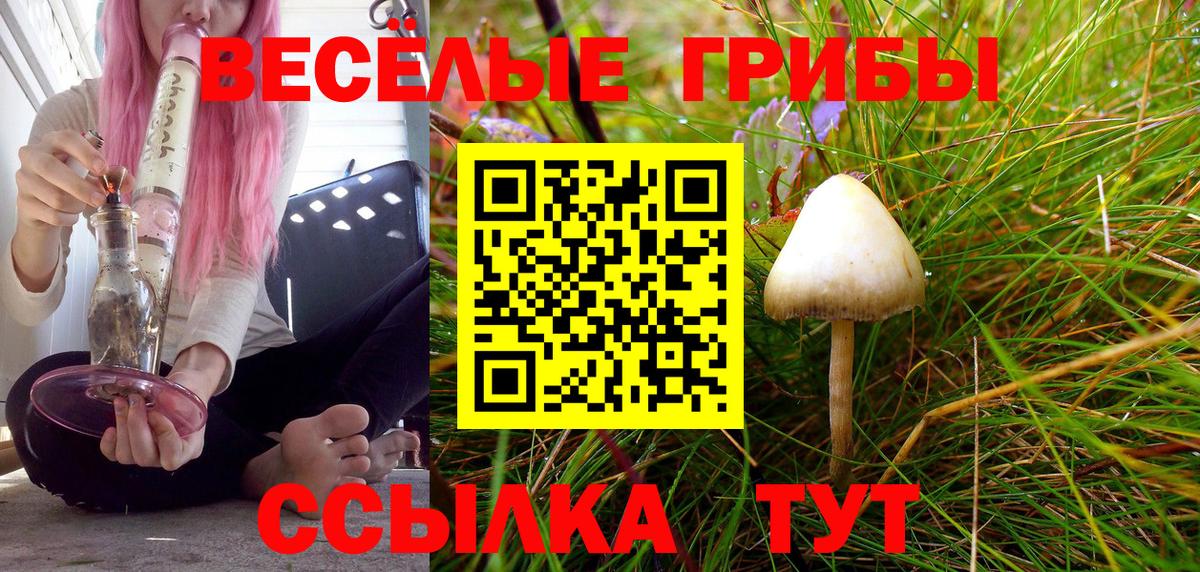 Урай  Псилоцибиновые грибы мицелий  Псилоцибиновые грибы мухоморы  Вход с VPN 