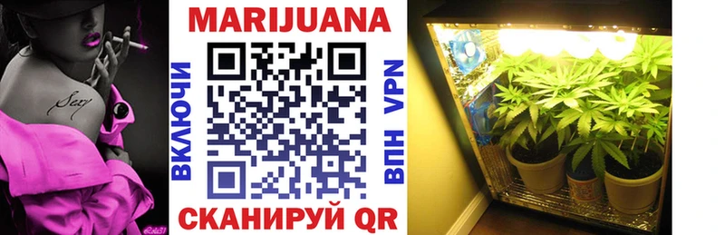 Каннабис OG Kush Урай